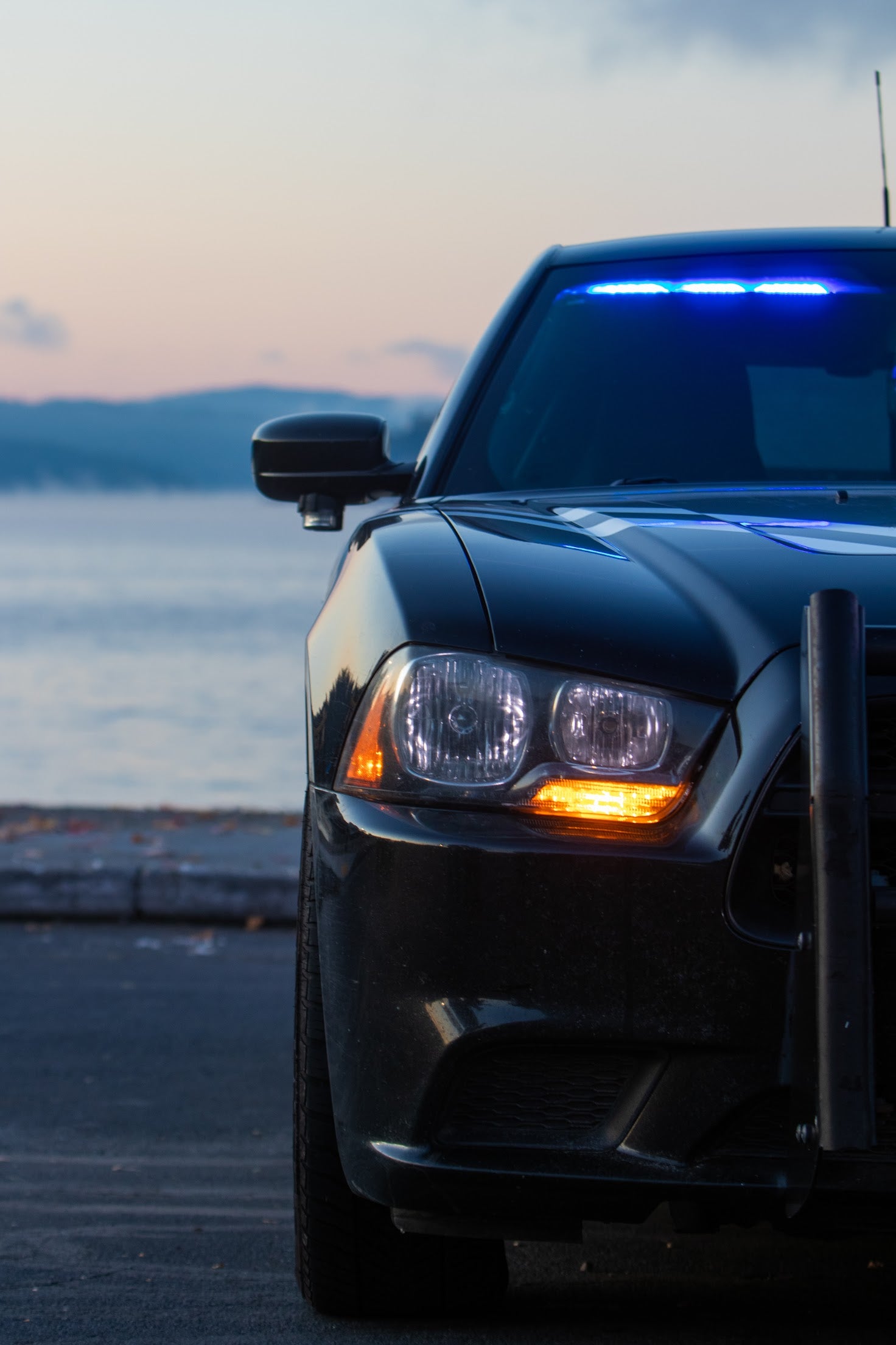 Sheepdog Natural Peppermint Soap - Patriot Mens Company